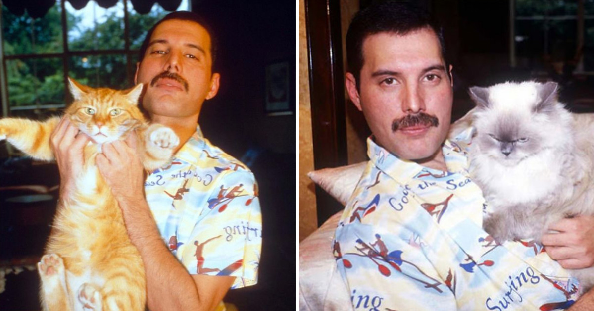 20 Adorable Pictures Of Queen Legend Freddie Mercury With