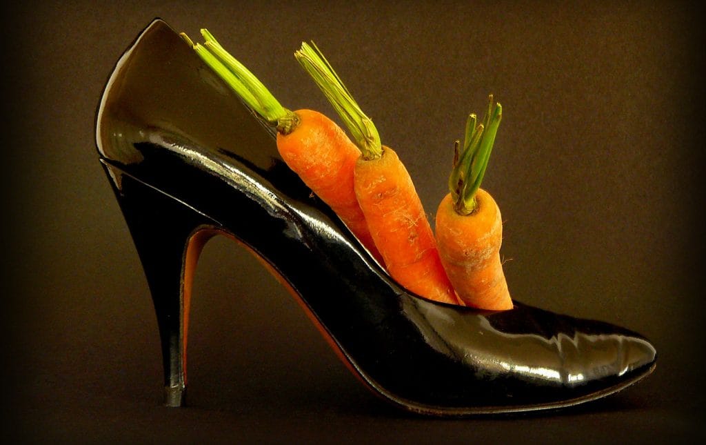 Carrots left for Sinterklaas