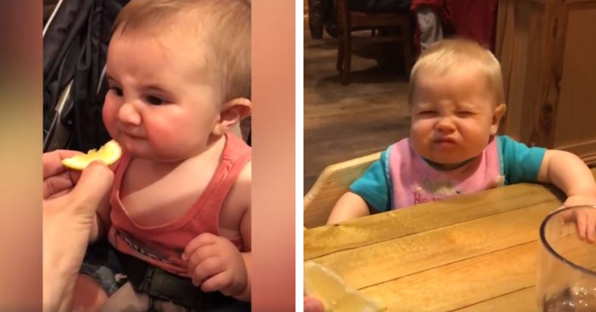 Babies Try Sour Foods For The First Time And Their Reactions Are HILARIOUS