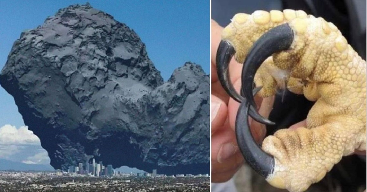 15 Crazy Things That Are Way Bigger Than You Think