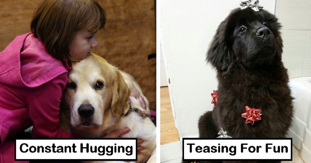15 Annoying Things We Do That Our Dogs Actually Hate