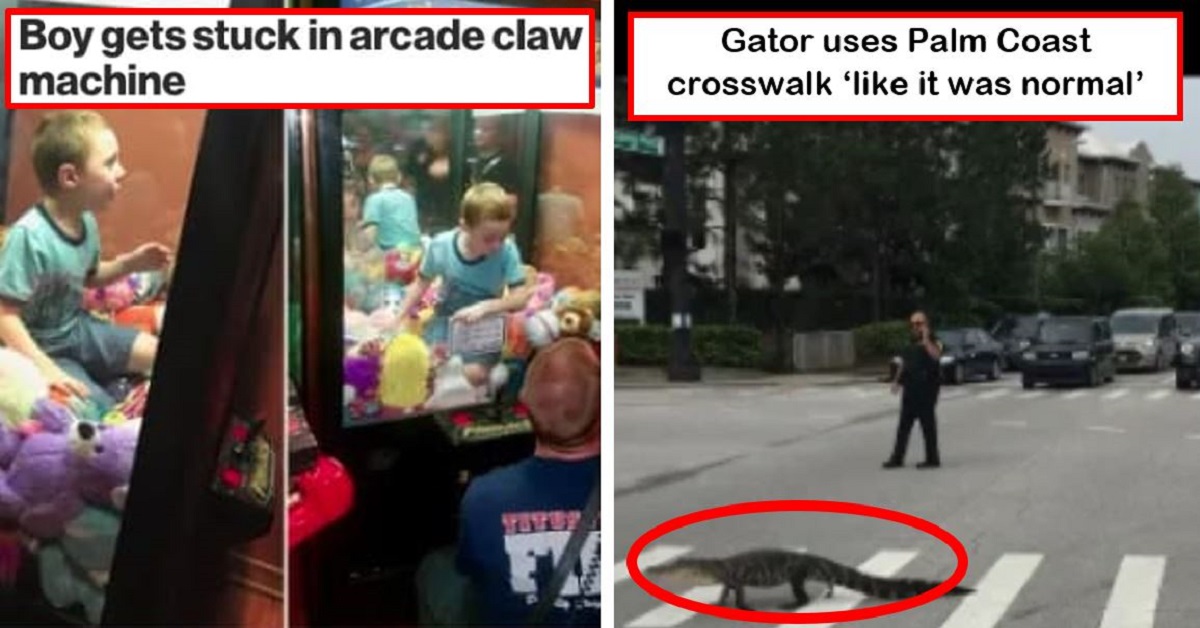 23 Of The Craziest Events That Prove Florida Is The Strangest State In America