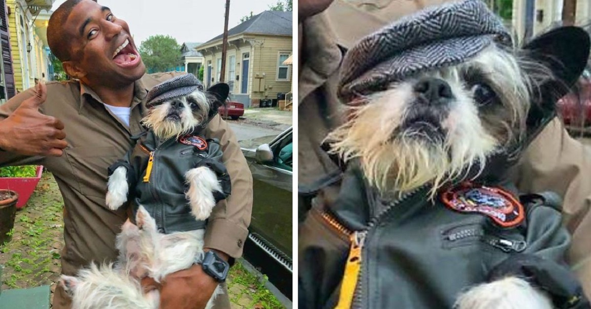 UPS Driver Creates Photoshoot With Every Dog He Meets On His Journey And It’s Unbearably Adorable