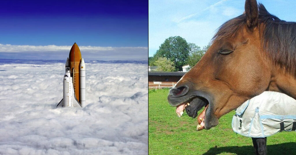 perfectly timed photos rocket horses